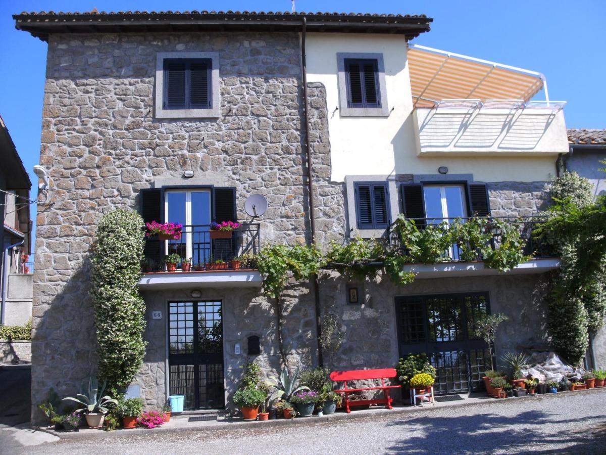 Zepponami I Tulipani Olandesi Bed & Breakfast エクステリア 写真