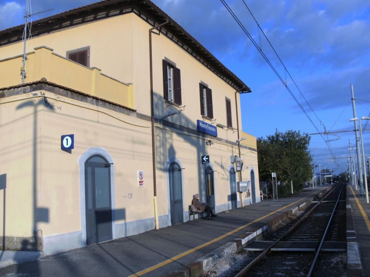 Zepponami I Tulipani Olandesi Bed & Breakfast エクステリア 写真